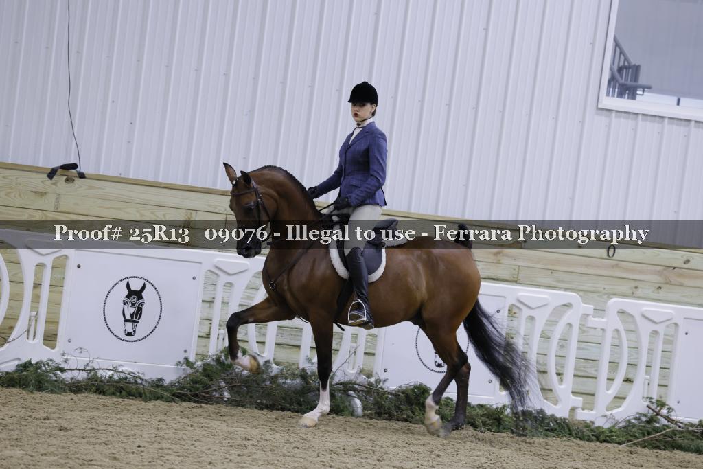Proof Number 25R13_09076