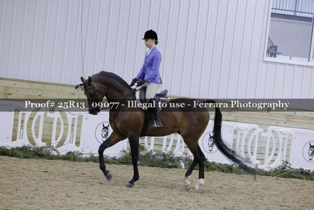 Proof Number 25R13_09077