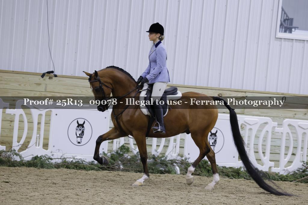 Proof Number 25R13_09078