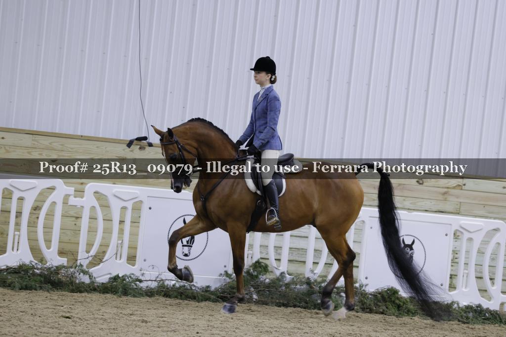 Proof Number 25R13_09079