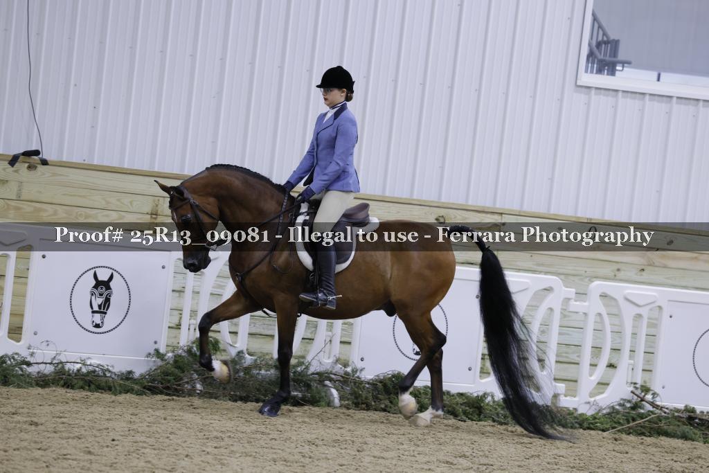 Proof Number 25R13_09081