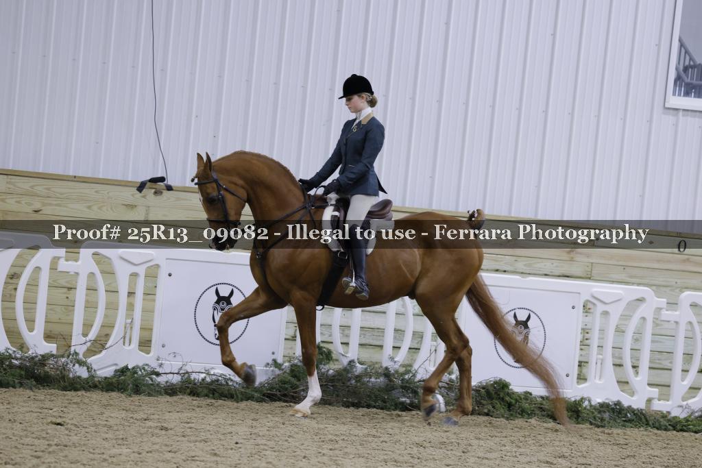 Proof Number 25R13_09082