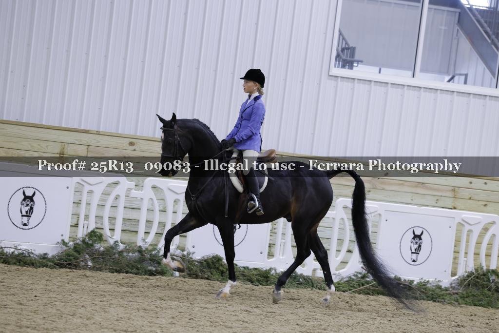Proof Number 25R13_09083