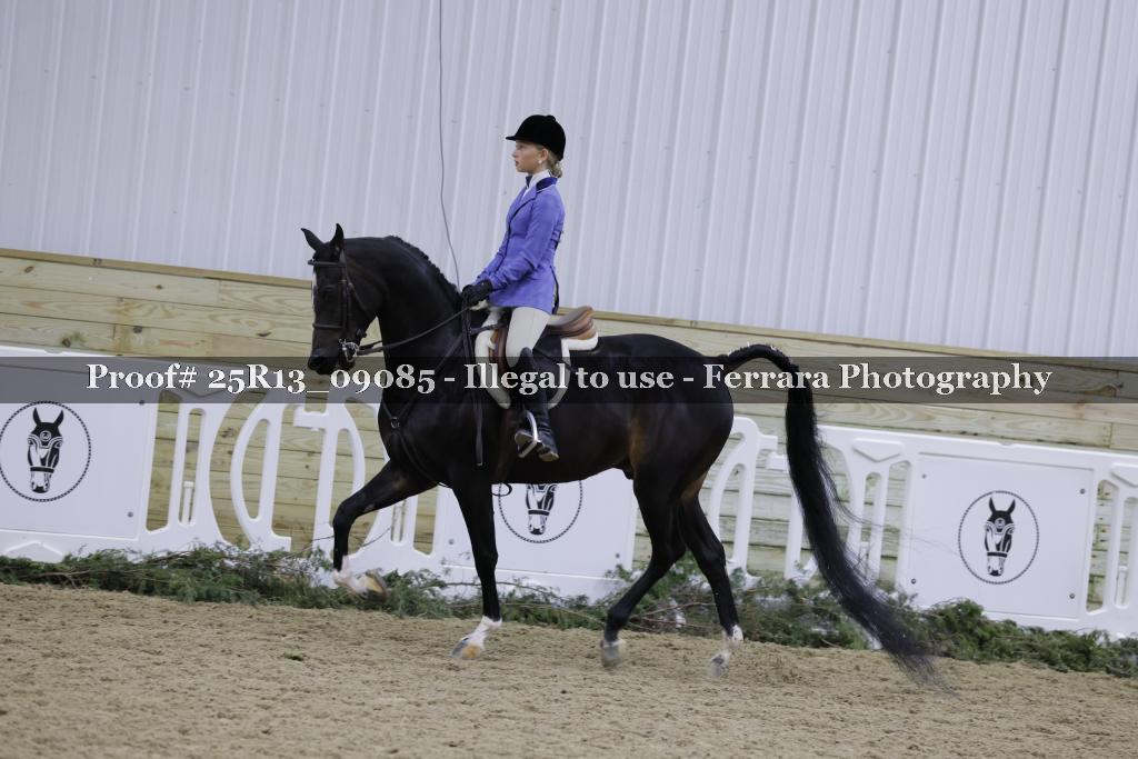 Proof Number 25R13_09085