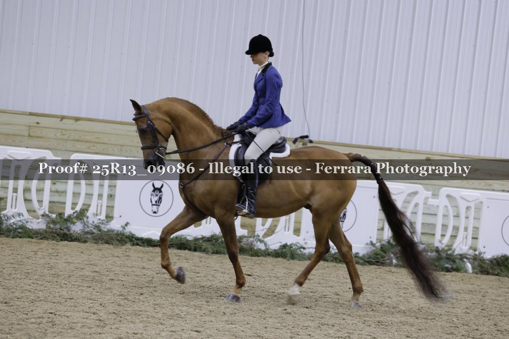 Proof Number 25R13_09086