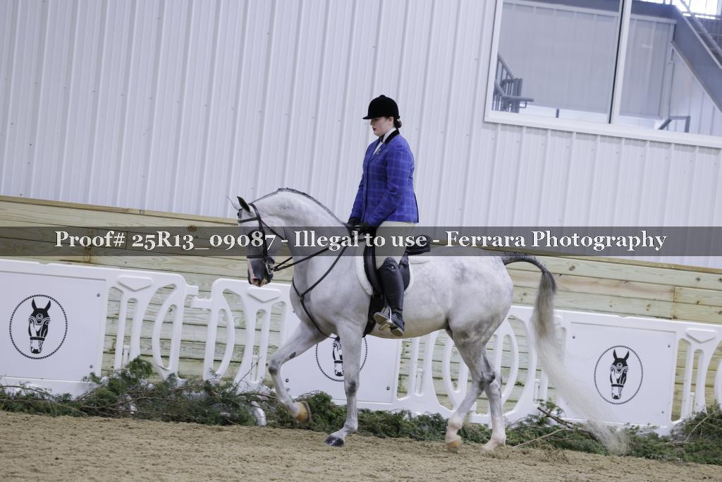 Proof Number 25R13_09087