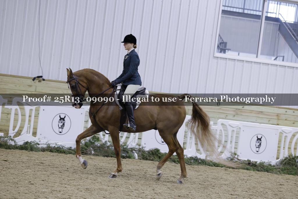 Proof Number 25R13_09090