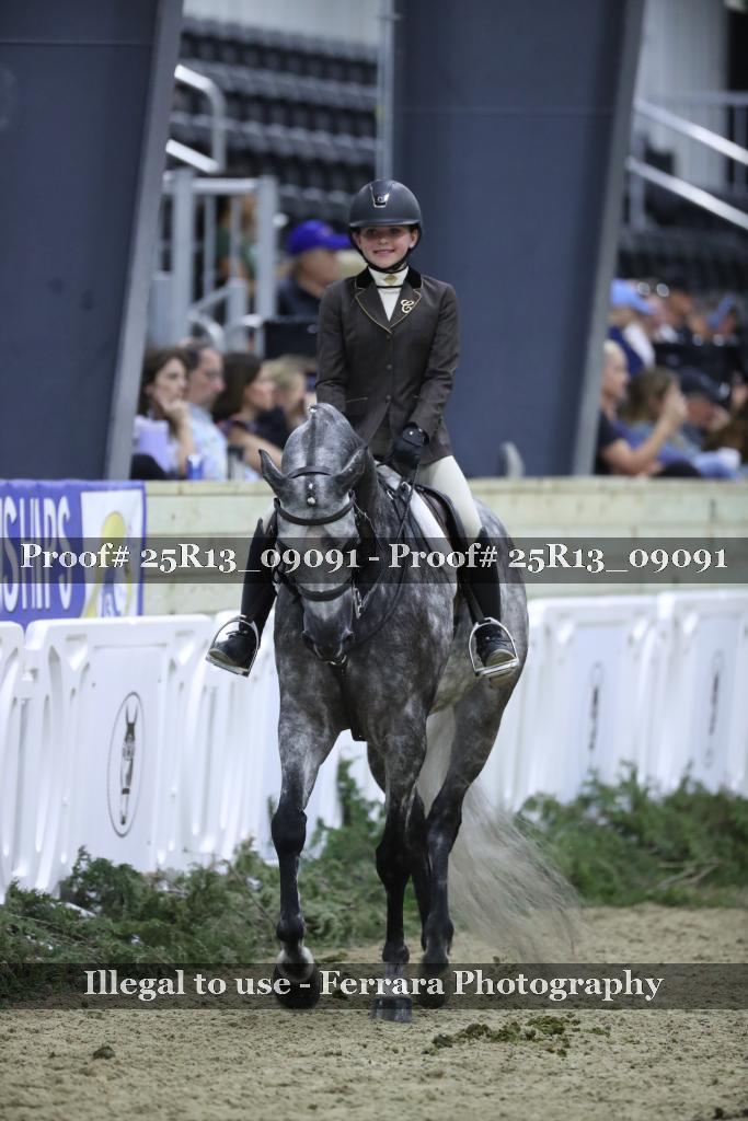 Proof Number 25R13_09091