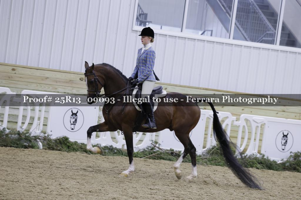 Proof Number 25R13_09093