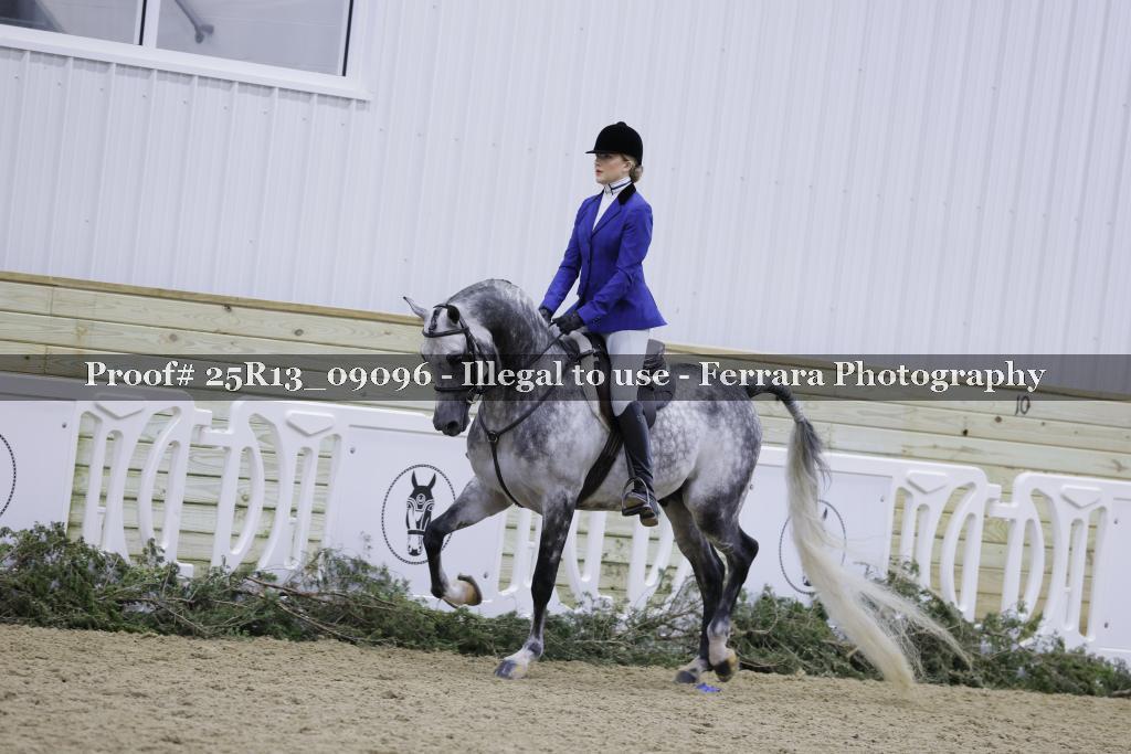 Proof Number 25R13_09096