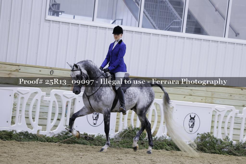 Proof Number 25R13_09097