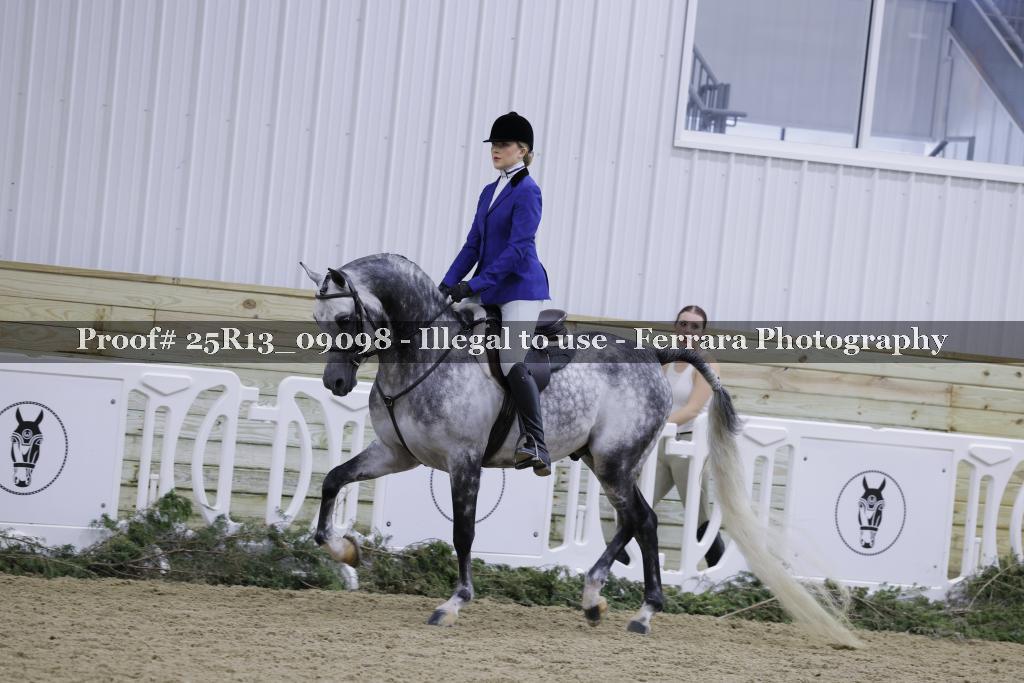 Proof Number 25R13_09098