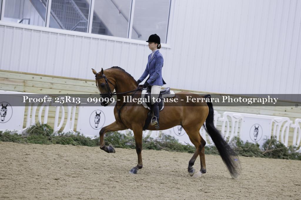 Proof Number 25R13_09099