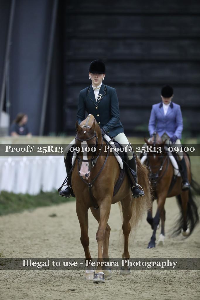 Proof Number 25R13_09100