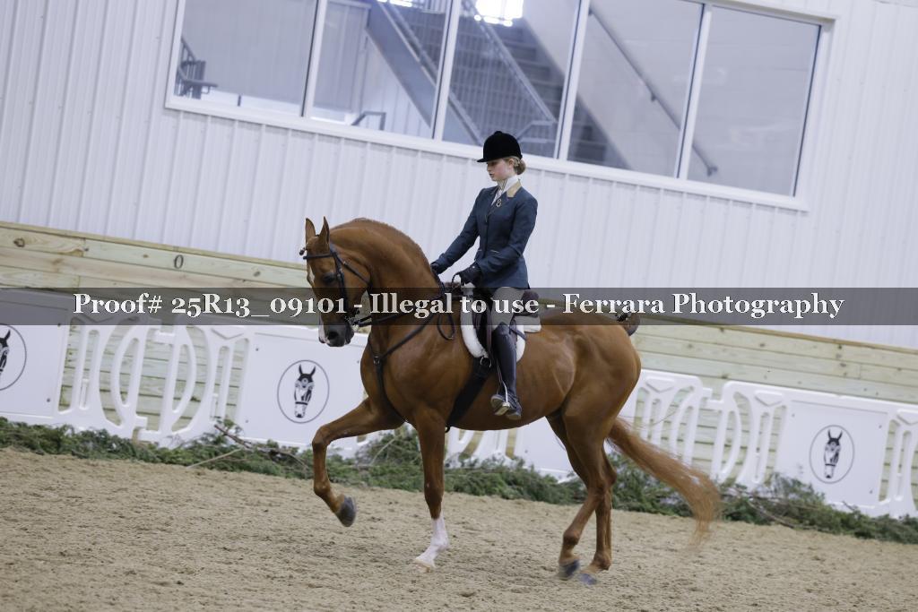 Proof Number 25R13_09101