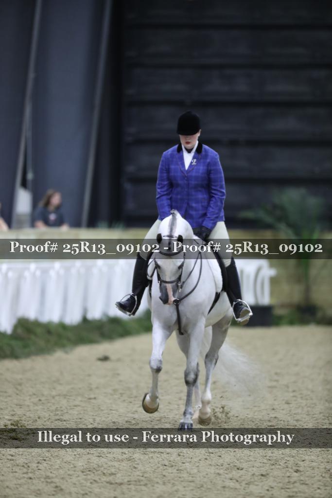 Proof Number 25R13_09102