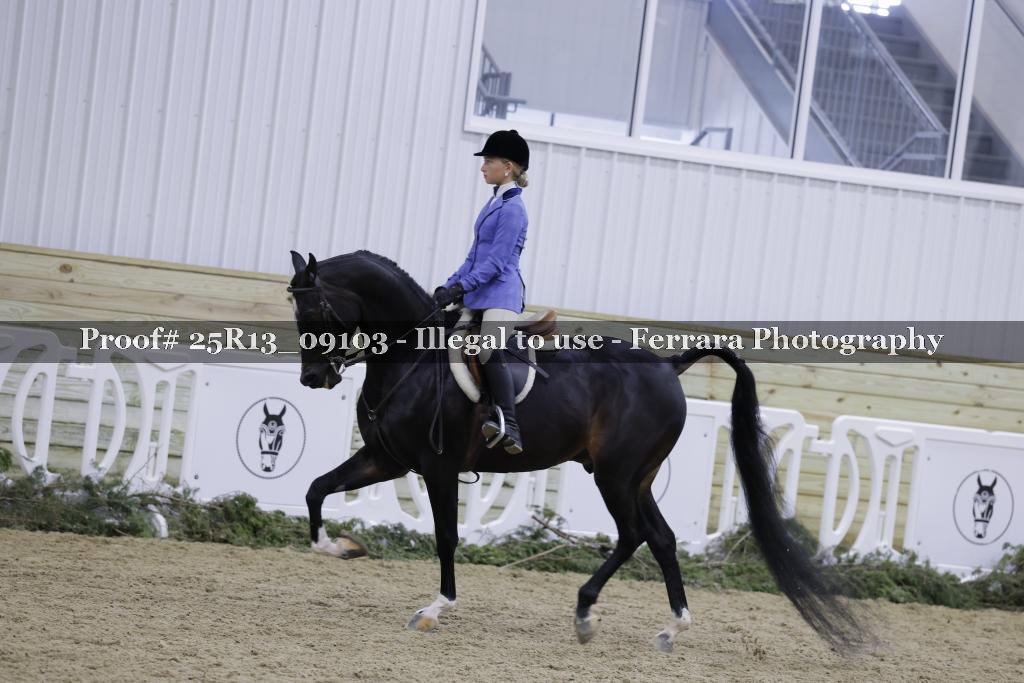 Proof Number 25R13_09103