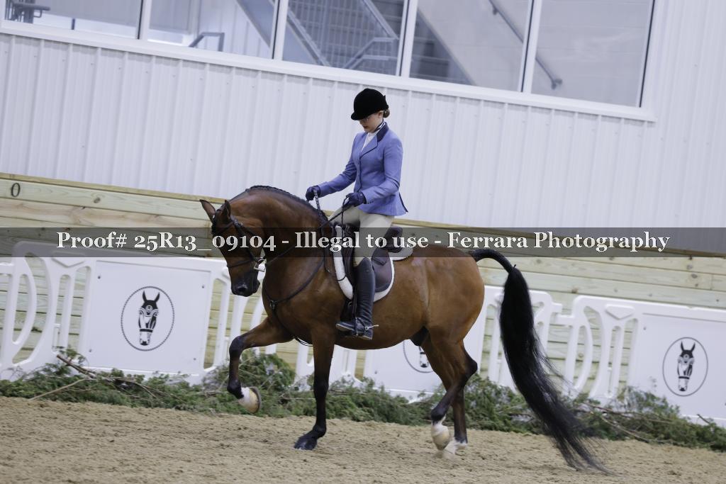 Proof Number 25R13_09104