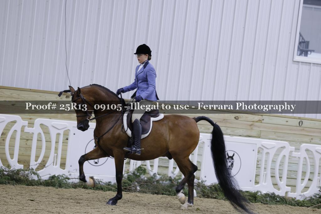 Proof Number 25R13_09105