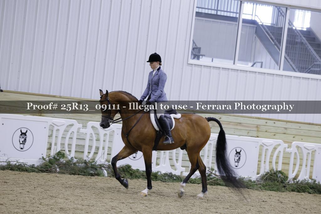 Proof Number 25R13_09111