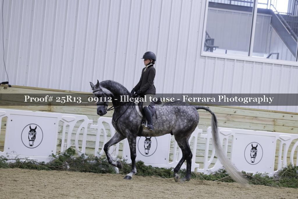 Proof Number 25R13_09112