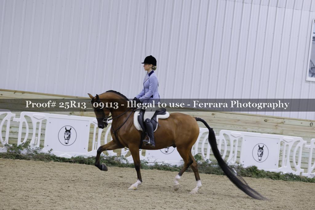 Proof Number 25R13_09113