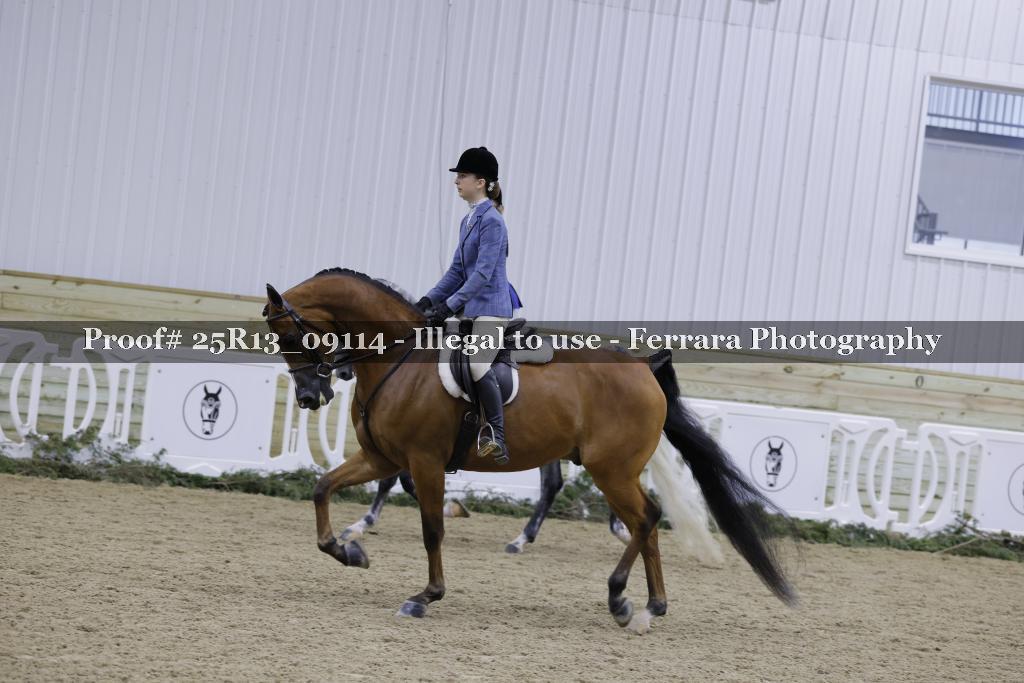 Proof Number 25R13_09114