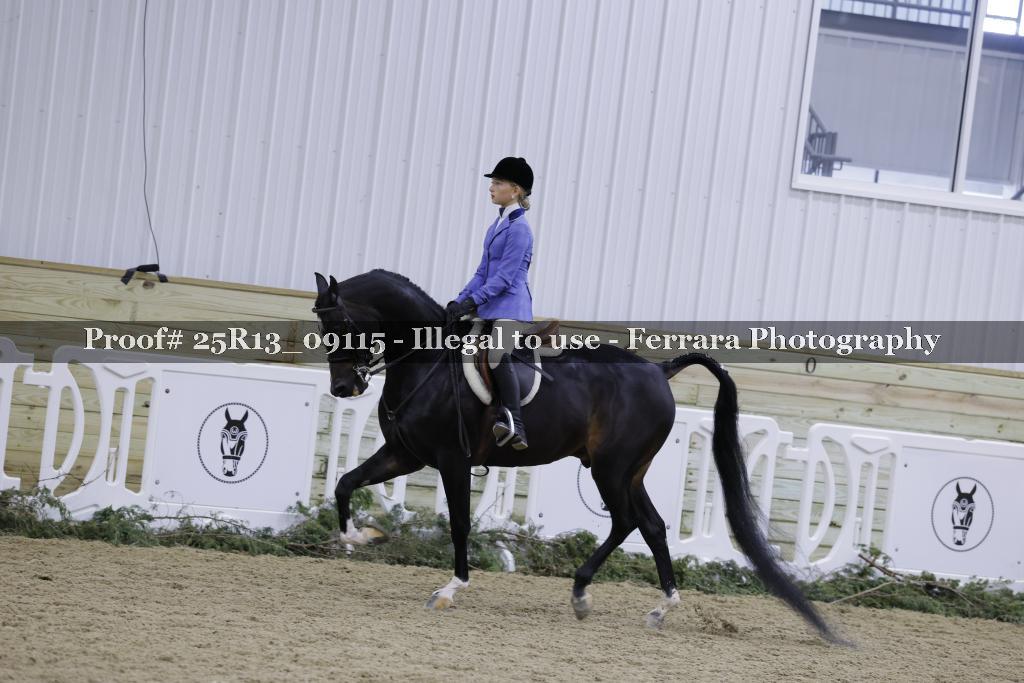 Proof Number 25R13_09115