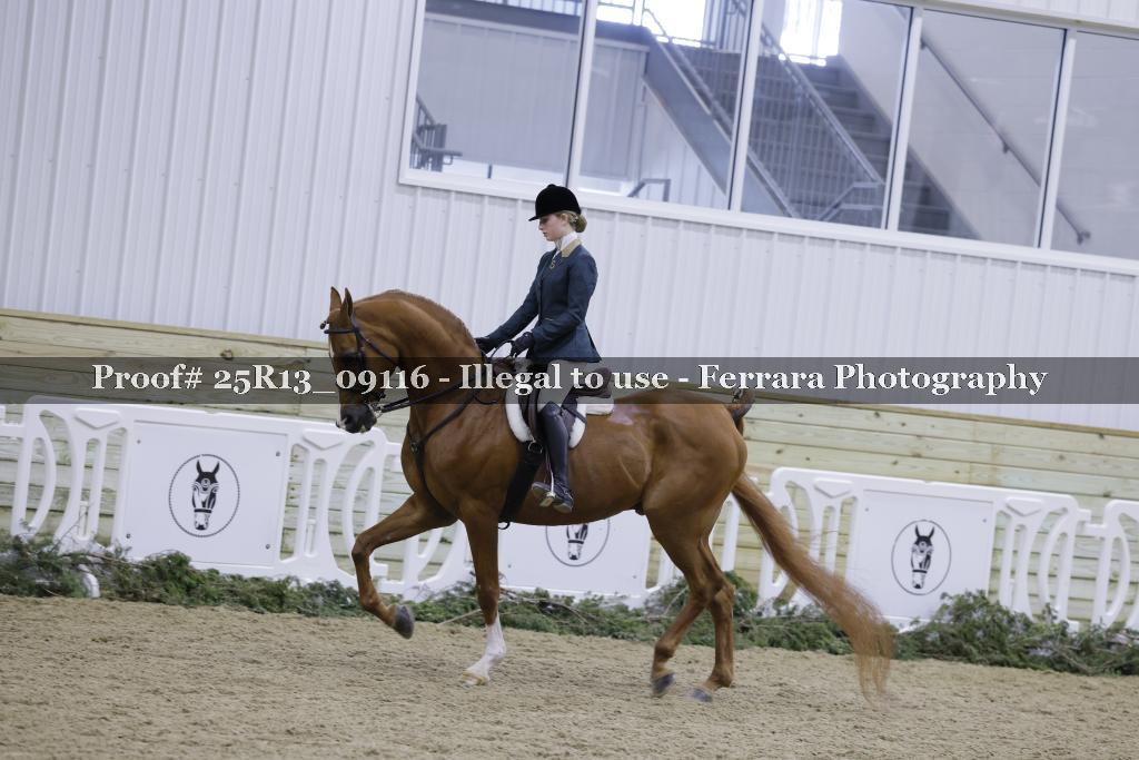 Proof Number 25R13_09116