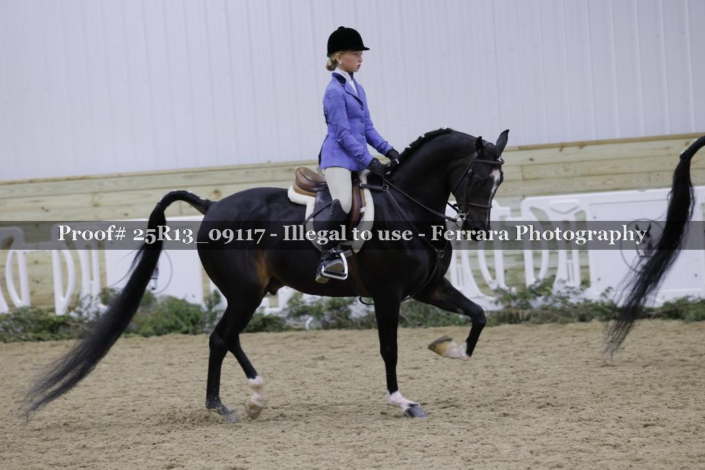 Proof Number 25R13_09117