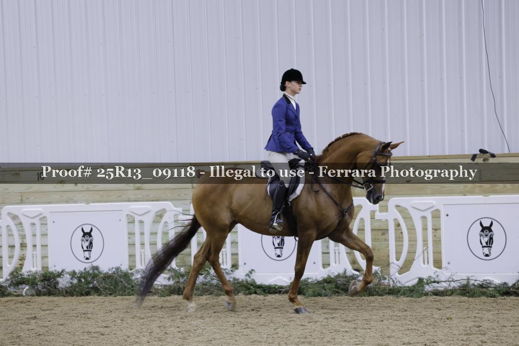 Proof Number 25R13_09118