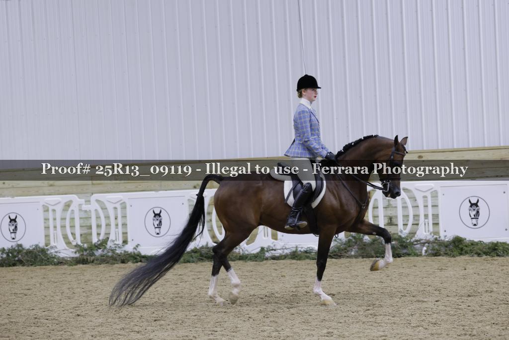Proof Number 25R13_09119