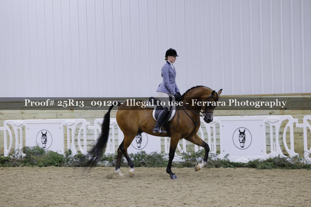 Proof Number 25R13_09120