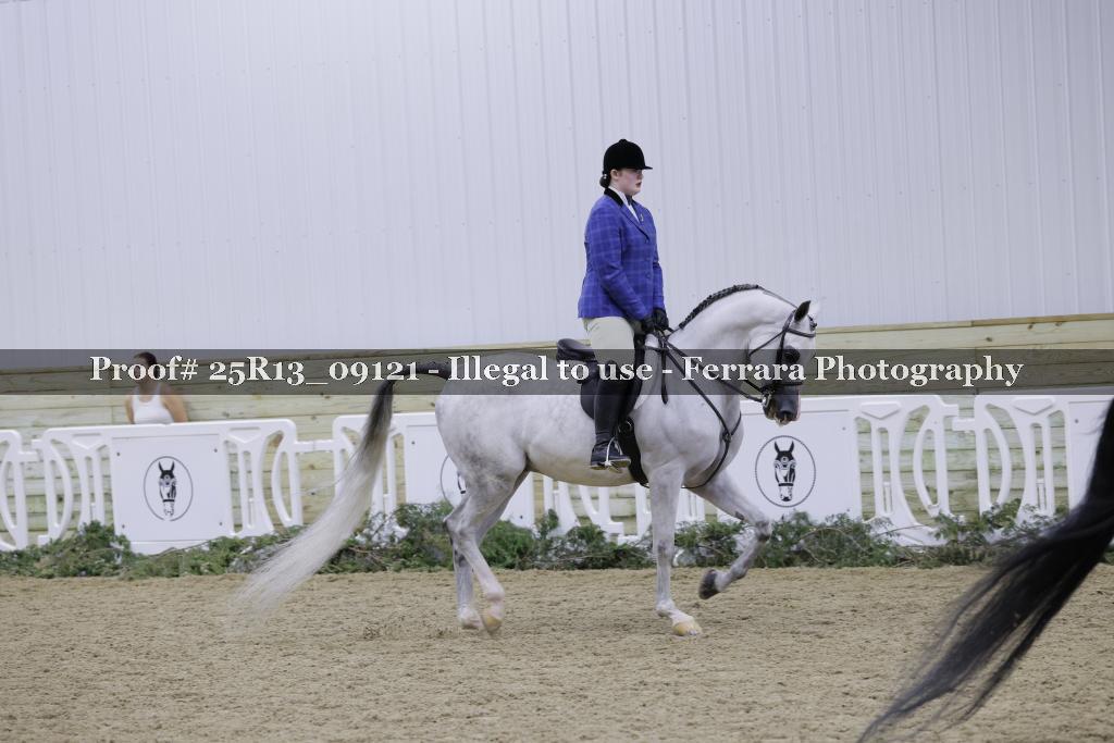 Proof Number 25R13_09121