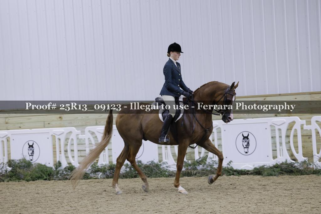Proof Number 25R13_09123