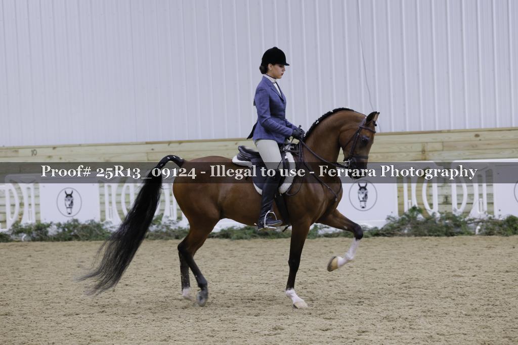 Proof Number 25R13_09124