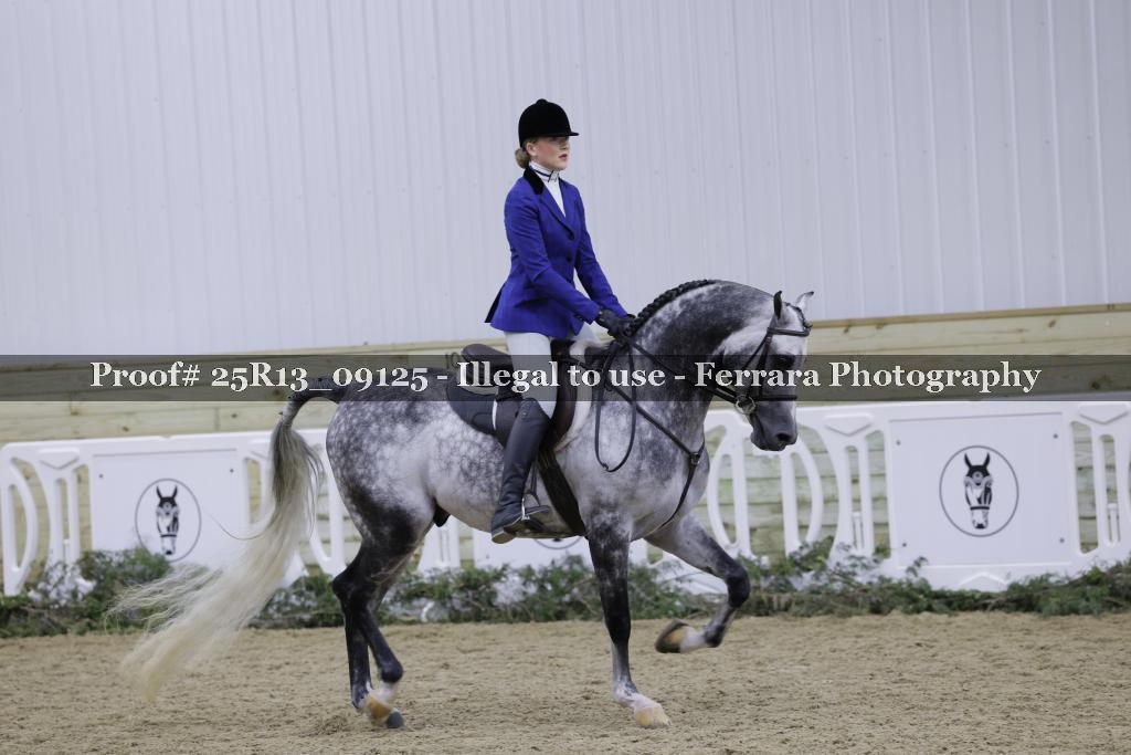 Proof Number 25R13_09125