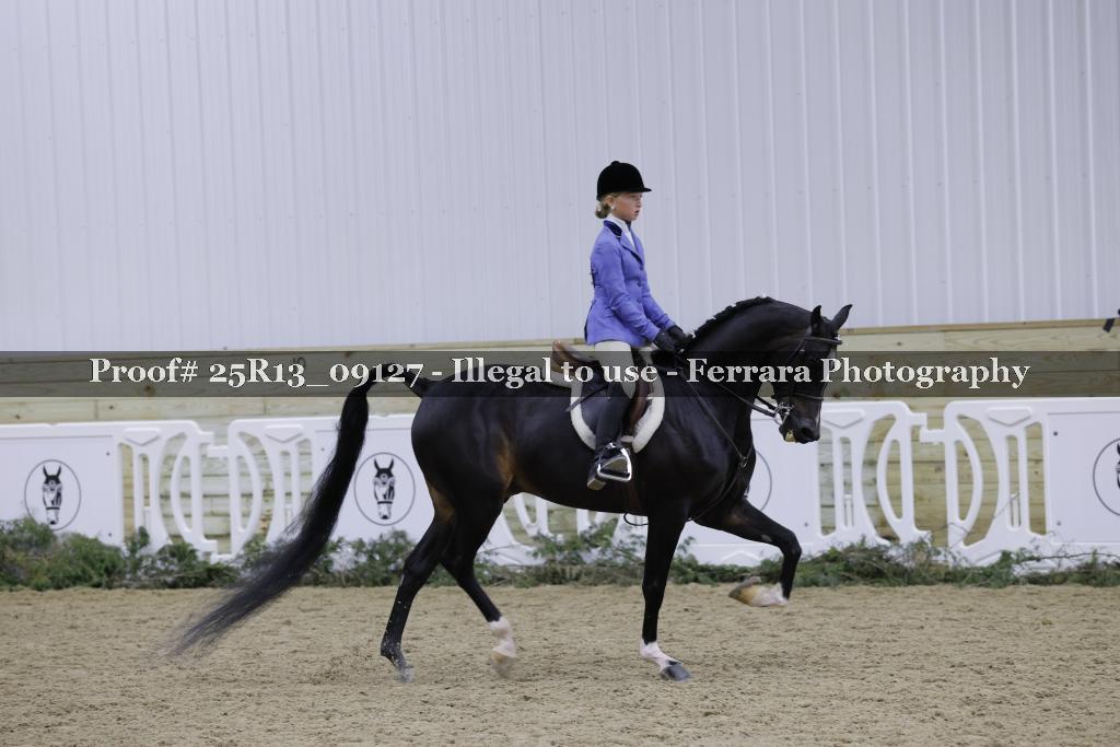 Proof Number 25R13_09127