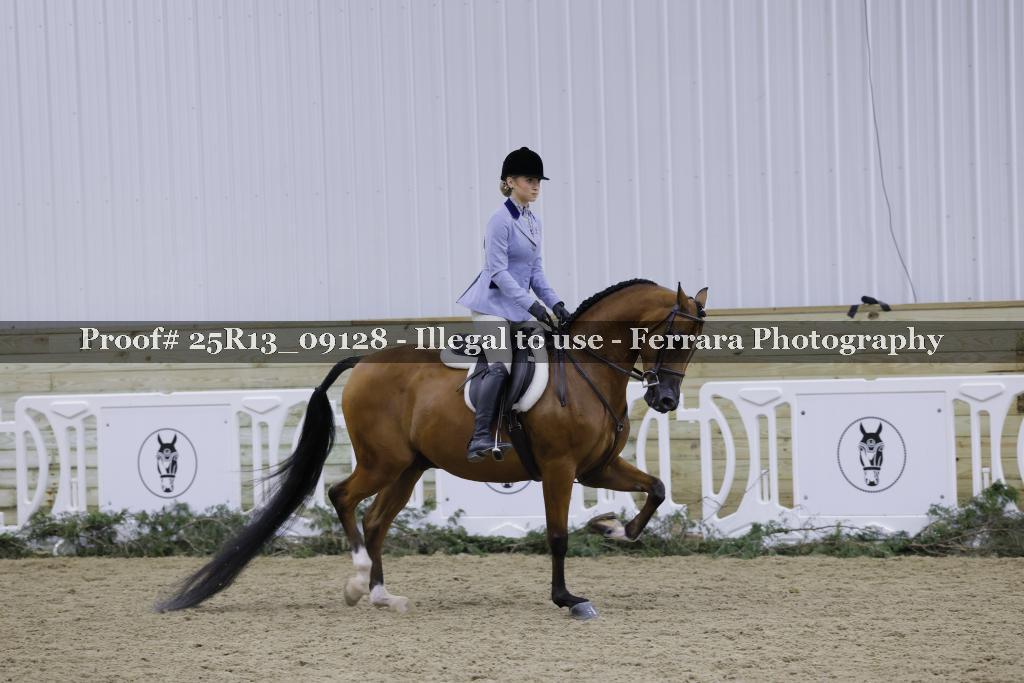 Proof Number 25R13_09128
