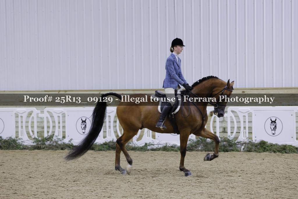 Proof Number 25R13_09129