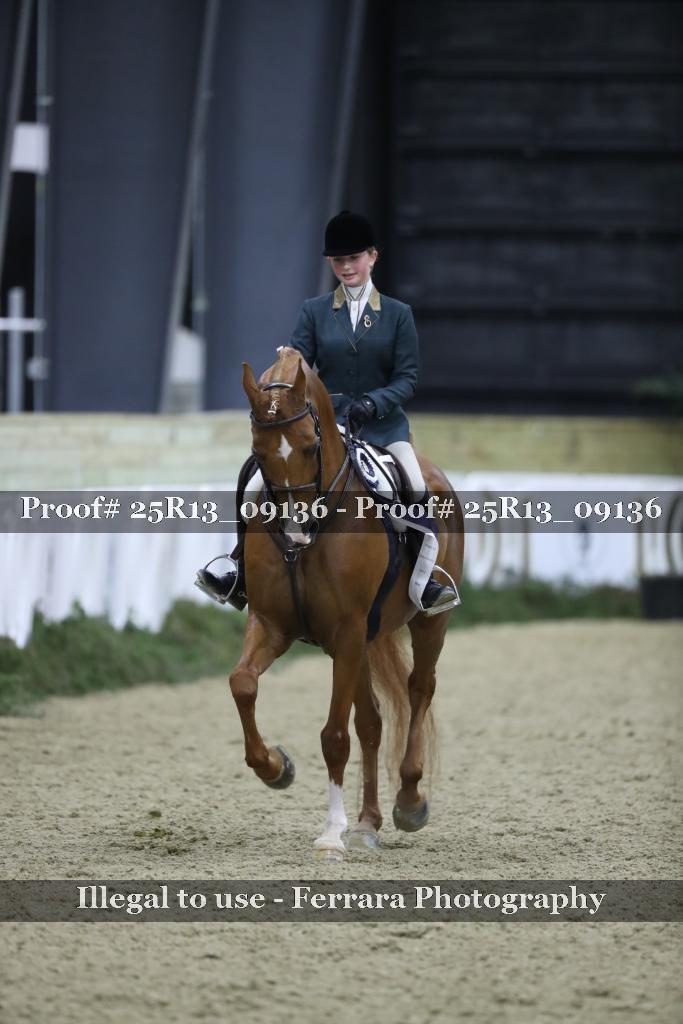 Proof Number 25R13_09136