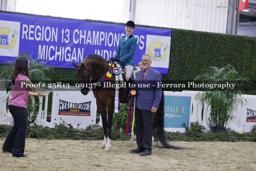 Proof Number 25R13_09137