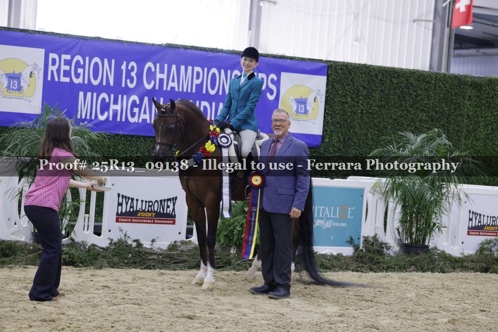 Proof Number 25R13_09138