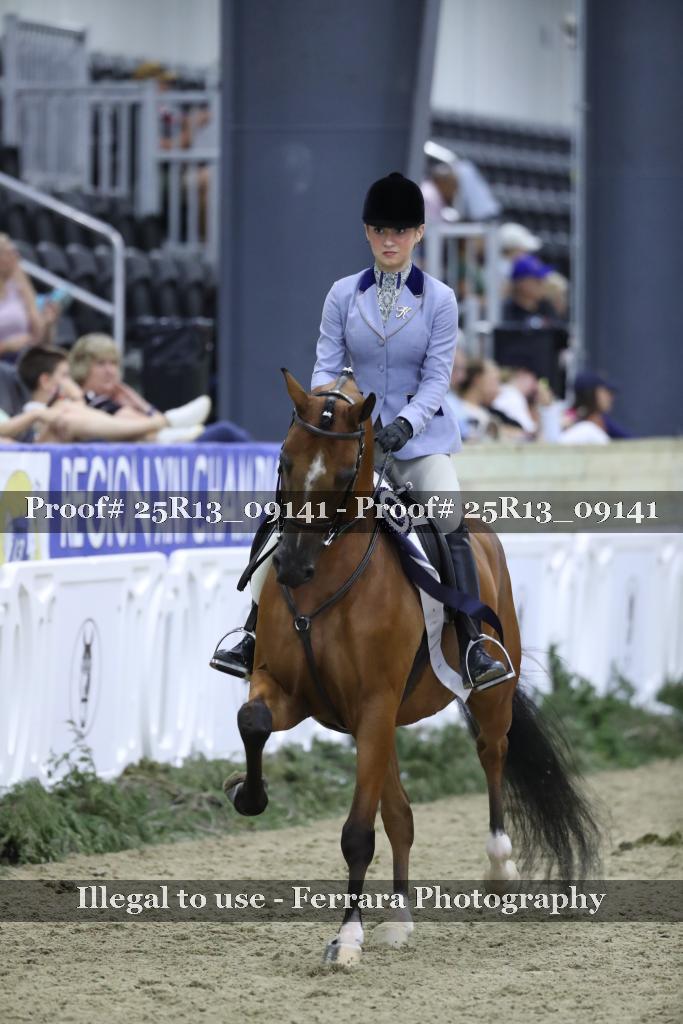 Proof Number 25R13_09141
