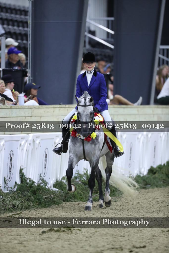Proof Number 25R13_09142
