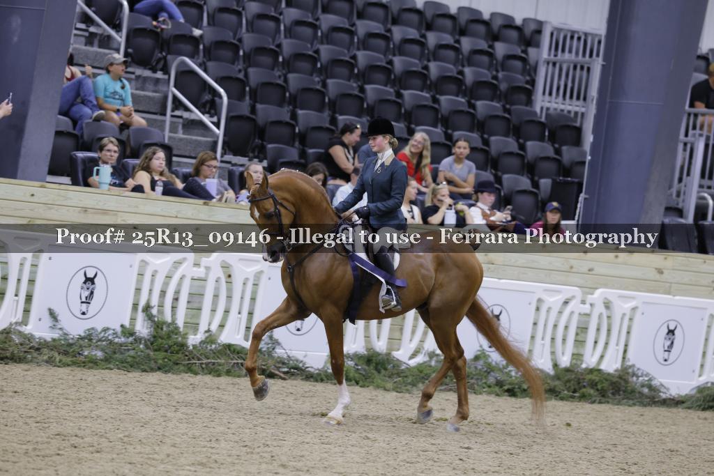 Proof Number 25R13_09146