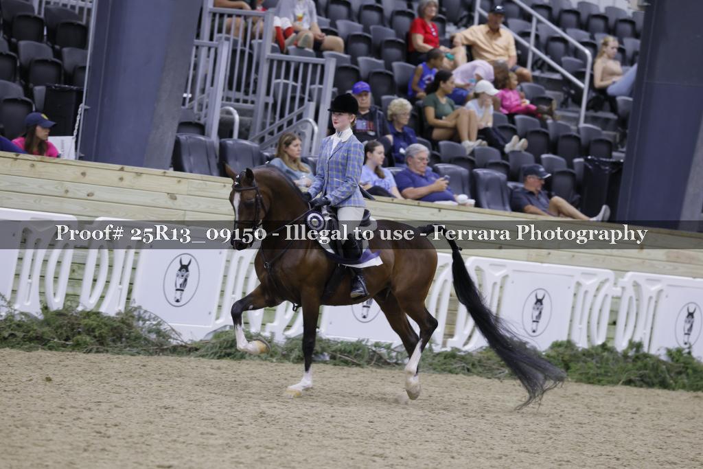 Proof Number 25R13_09150