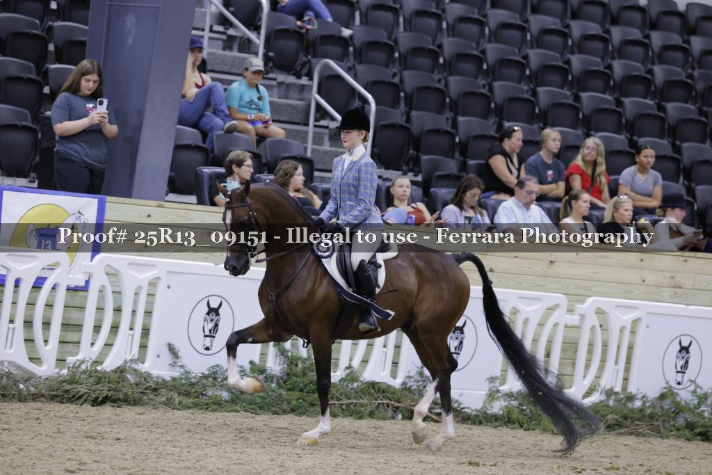 Proof Number 25R13_09151