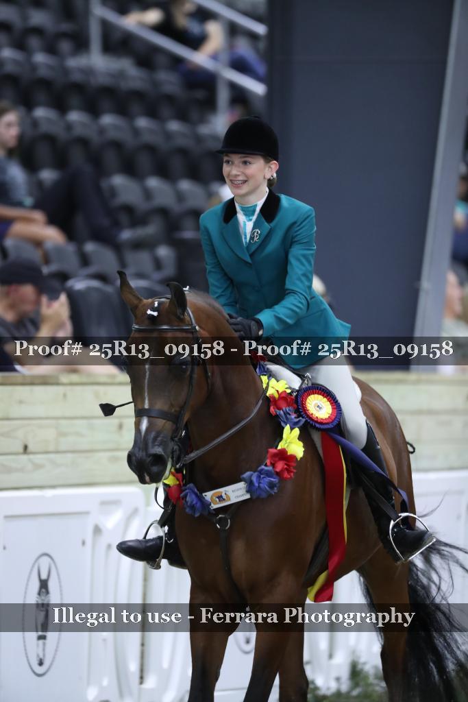 Proof Number 25R13_09158