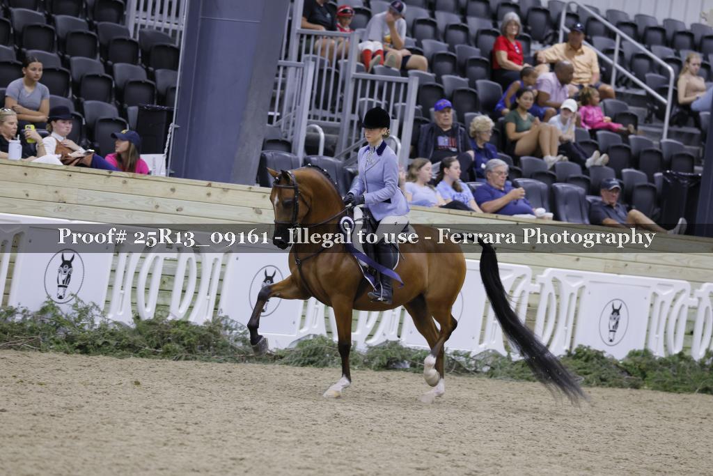 Proof Number 25R13_09161